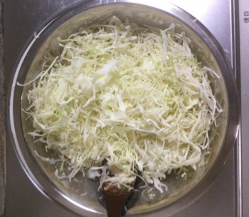 完全に一致。糖質オフで本当に旨い豆腐お好み焼き(糖質14.8g)