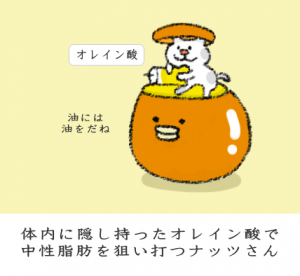 ミューズリーの効果と選び方