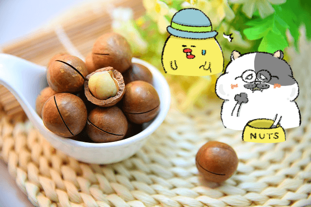 ローカボ調査日誌(32) 間食活用☆ナッツのカロリー・糖質一覧表！