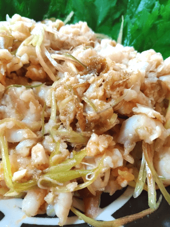 茗荷白身のフワシャキとろろ昆布柚子胡椒