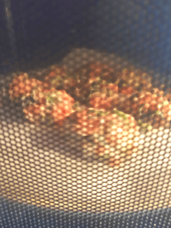 カマンベール柚子胡椒の濃厚胡麻鮭チーズ焼き