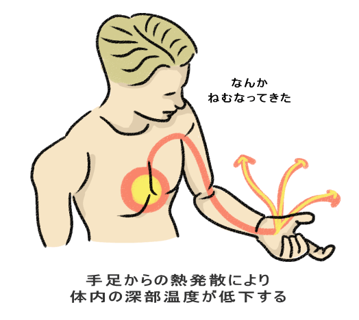 深部体温が下がり、手足から熱が出る図