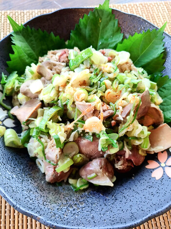 大盛り鶏ネギ塩のふんわり低温旨味レバー