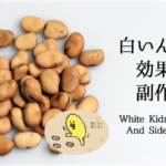 イラストで分かる白いんげん豆(ファビノール)のダイエット効果と副作用
