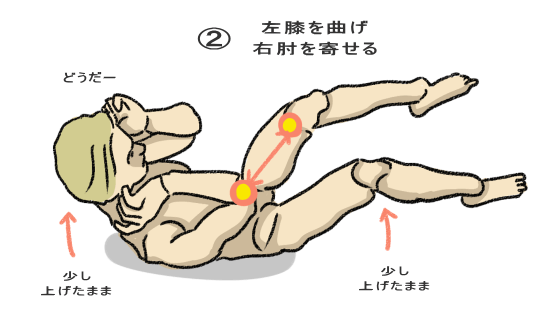 ②体を僅かにひねりながら、逆側の肘と膝を交互に寄せる