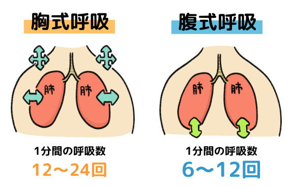 胸式呼吸と腹式呼吸の呼吸回数の差