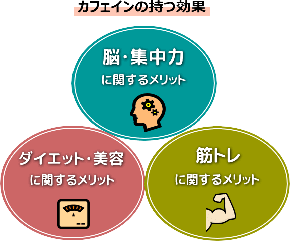 イラストで分かるカフェインの素晴らしい効果と安全摂取量と危険性 旨ブロ 美味しい低糖質 ダイエットレシピサイト